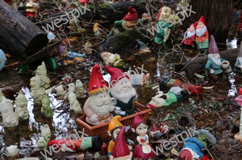 The Great Gnomesville Flood of 2018 If you | WestPix