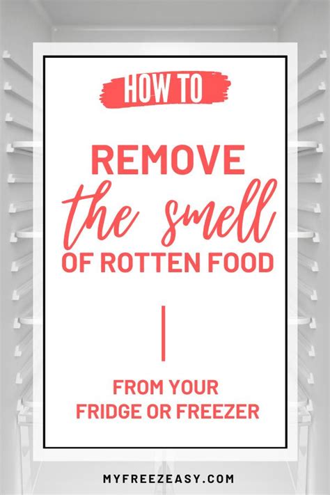 How to Remove the Smell of Rotten Food from Fridge or Freezer | Fridge smells, Rotten food ...