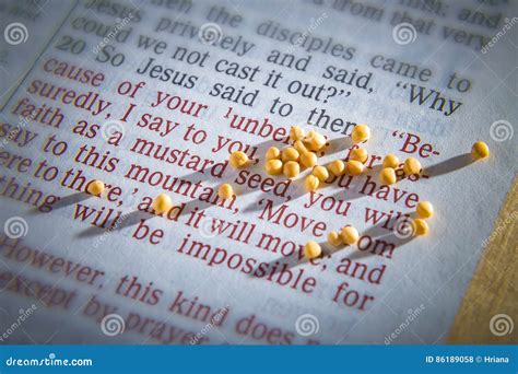 Mustard Seed and Open Bible Stock Photo - Image of religious, organic: 86189058