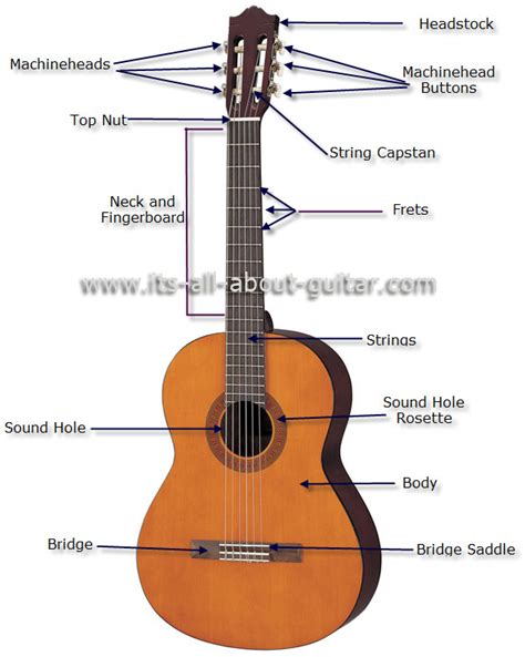 Diagram of a Nylon String Guitar