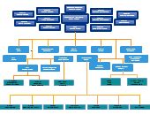 Organizational Chart Templates | Editable Online or Download for Free | Creately