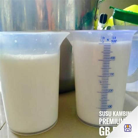 Susu Kambing Segar Premium - 1 Liter | PaxelMarket