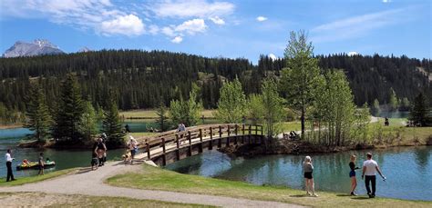 27 Easy Hikes in Banff You Won't Want To Miss