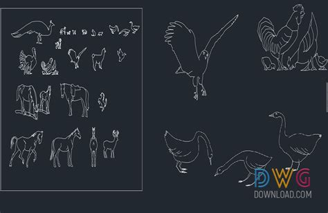 Different Animals Cad Blocks » DwgDownload.Com