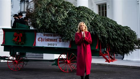 First lady Jill Biden welcomes White House Christmas tree