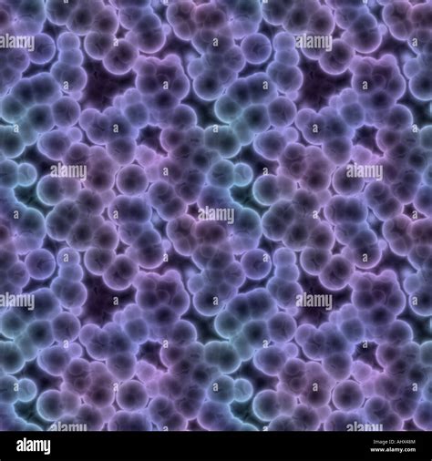 a large rendered image of bacteria or cells under a microscope Stock Photo - Alamy