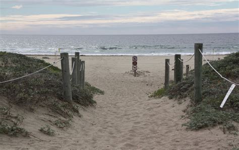 Morro Strand State Beach, Morro Bay, CA - California Beaches