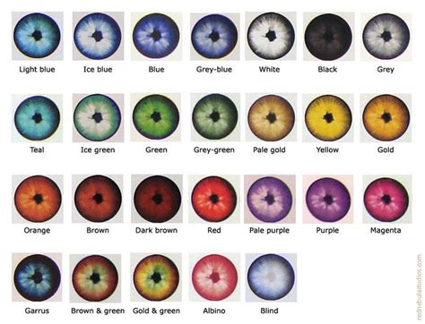 Image result for eye colors | Eye color chart, Rare eye colors, Rare eyes