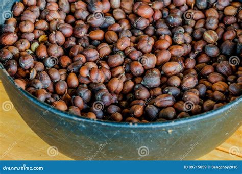 Dry Coffee Beans stock image. Image of food, background - 89715059