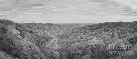 Shenandoah Fall Foliage BW Photograph by Michael Ver Sprill - Fine Art ...