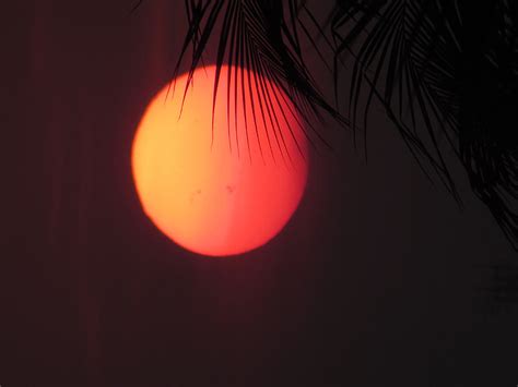 Close up photography of orange full moon | free photos | UIHere
