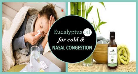 Eucalyptus Oil for Cold and Nasal Congestion - Allergy-symptoms.org