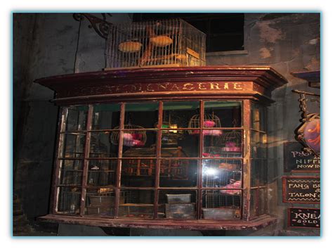 the magical menagerie - English Enrichment | Harry potter decor, Diagon alley, Magical