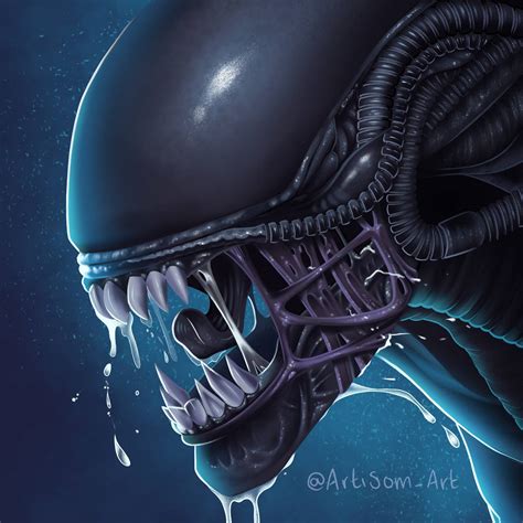 Xenomorph - Alien Vs Predator by ArtiSom on DeviantArt