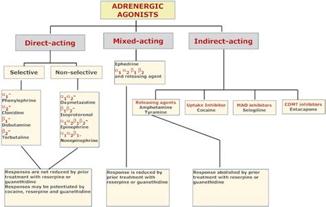 Neuropharmacology_1: Classification of adrenergic agonist