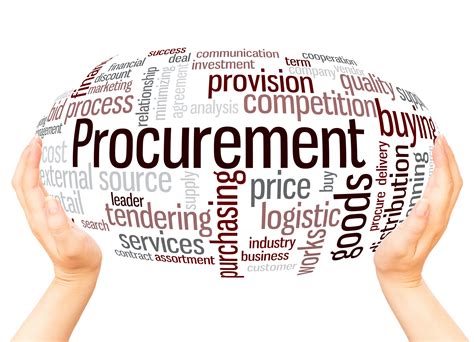 Financial Services Procurement Strategy and Transformation | Carly Rian Group