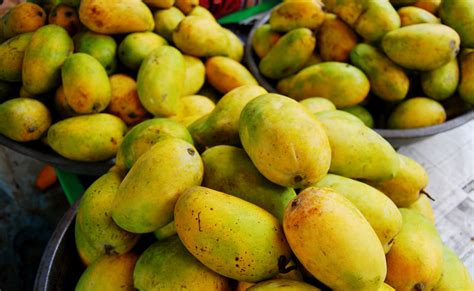 10 Popular Indian Mango Varieties