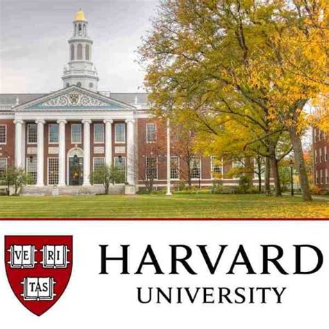 Beca para estudiar en Harvard 2021. - | Becas en el extranjero, Becas internacionales, Becas ...