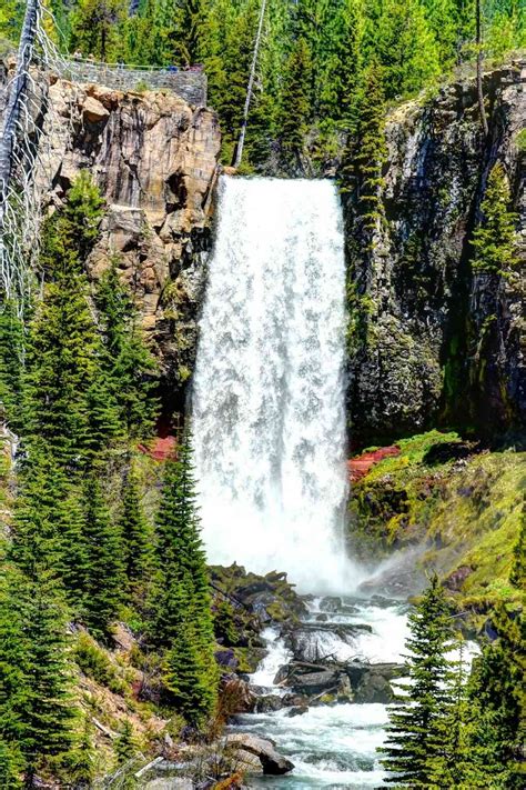 Most Beautiful Waterfalls in Oregon