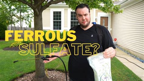 Will IRON sulfate KILL MY LAWN ? | Ferrous Sulfate RESULTS