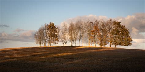 Autumn Trees | Lorraine Finney Photography