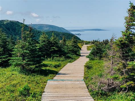 Hike The Skyline Trail, Cape Breton Highlands National Park