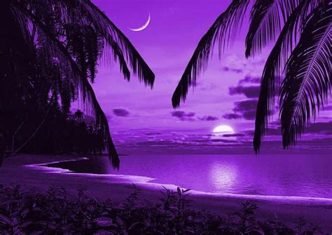 Beautiful purple view | Hawaii beach photos, Tropical beach wedding, Tropical island beach
