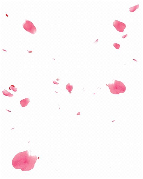 Petal Background PNG Clip Art - PNG Play