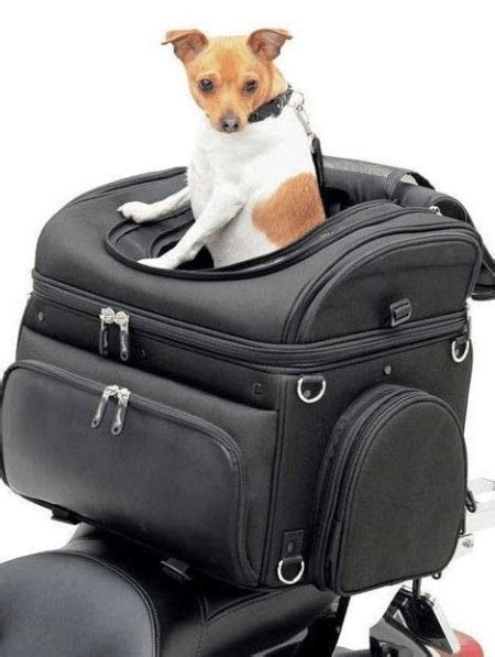 Pet Carrier For Motorcycle- 5 Best Dog And Cat Carrier For Motorcycle – PetLevin