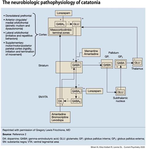 Catatonic Schizophrenia Treatment