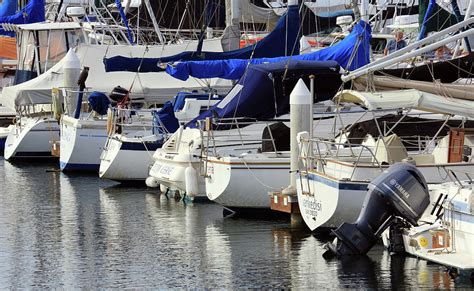 San Diego Harbor Yacht Club Photograph by Paul Ranky - Fine Art America