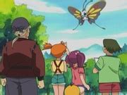 Beautifly de Sakura - WikiDex, la enciclopedia Pokémon