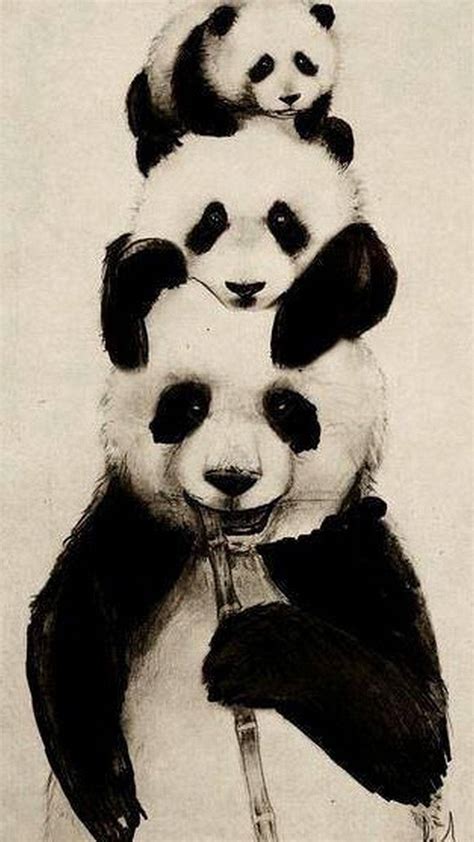 Download Cute Panda Family Wallpaper | Wallpapers.com