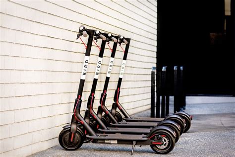 Bird to offer electric scooter rentals for $25/mo, with delivery to ...