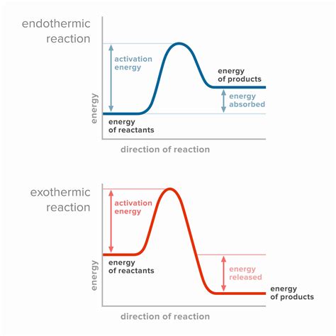 Comparing Endothermic And Exothermic Potential Energy