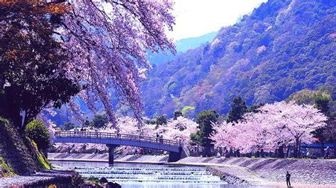 Park Scenery Wallpaper