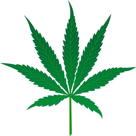 Marijuana Leaf Vector Png