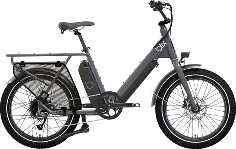 Best Cargo e-Bikes: Top 12 Electric Cargo Bikes For Your Family