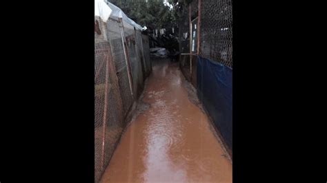 Wollies Animal Shelter flooded on Wednesday during heavy rain - YouTube