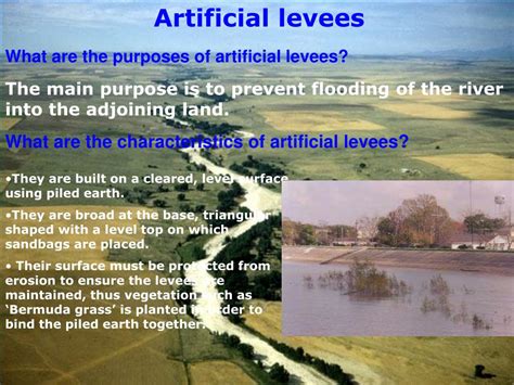 PPT - Levees PowerPoint Presentation, free download - ID:428147