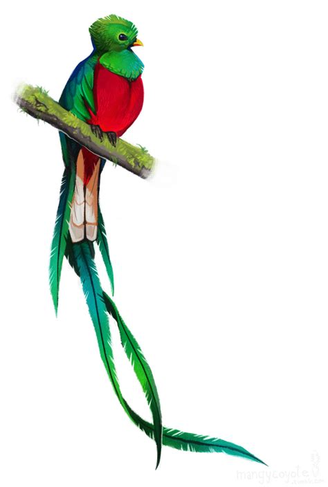 Quetzal | :o | Pinterest | deviantART, Tattoo and Tatting