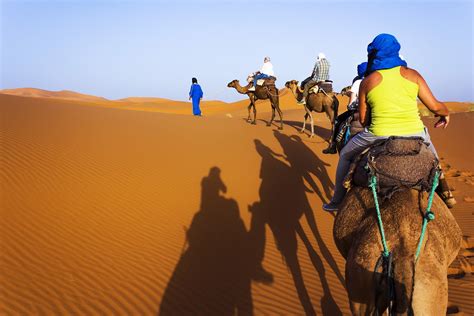 How to ride a camel in the Sahara in Marrakesh