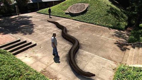 Titanoboa – the largest snake | DinoAnimals.com