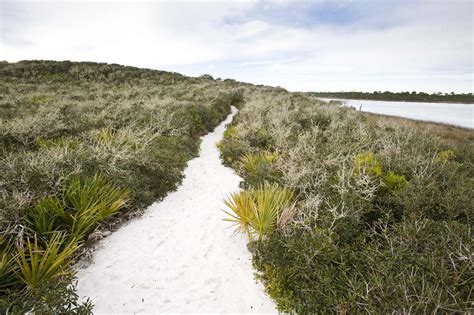 Grayton Beach State Park | SoWal.com