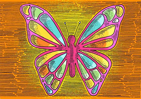 Butterfly Line Drawing 117936 Vector Art at Vecteezy