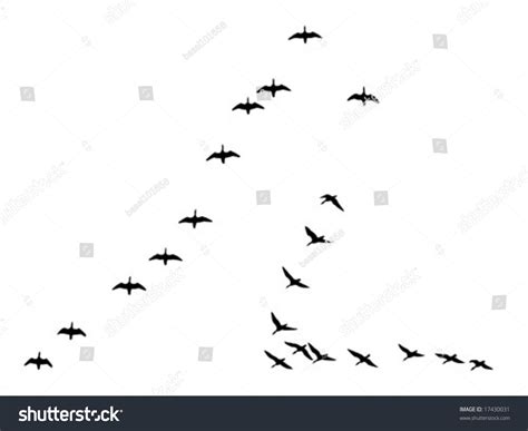 Vector Silhouettes Flock Geese Isolated On Stock Vector (Royalty Free ...