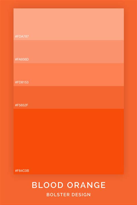 Blood Orange Color Palette