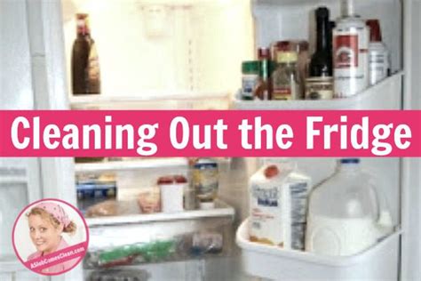 Cleaning Out the Fridge - Dana K. White: A Slob Comes Clean