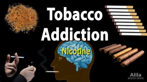 Smoking nicotine – Telegraph