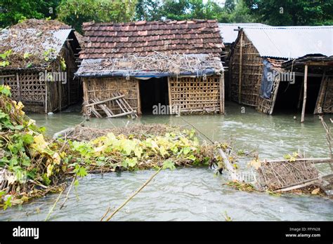 Flood of Bihar 2008 water of Kosi river in Purniya district , Bihar ...